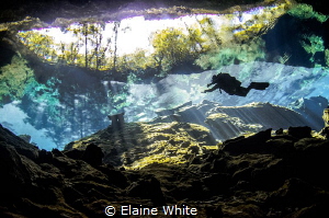 Reflections of Chac Mool, Cenotes, Mexico by Elaine White 